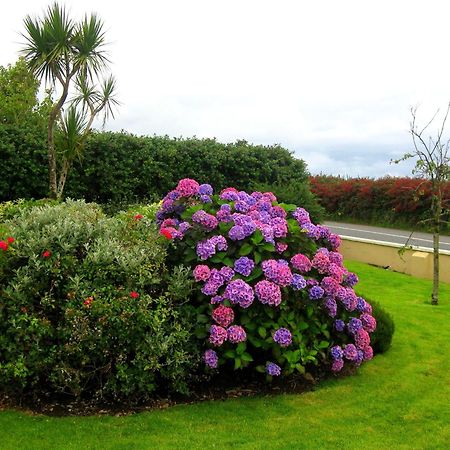 Cill Bhreac House B&B Dingle Dış mekan fotoğraf