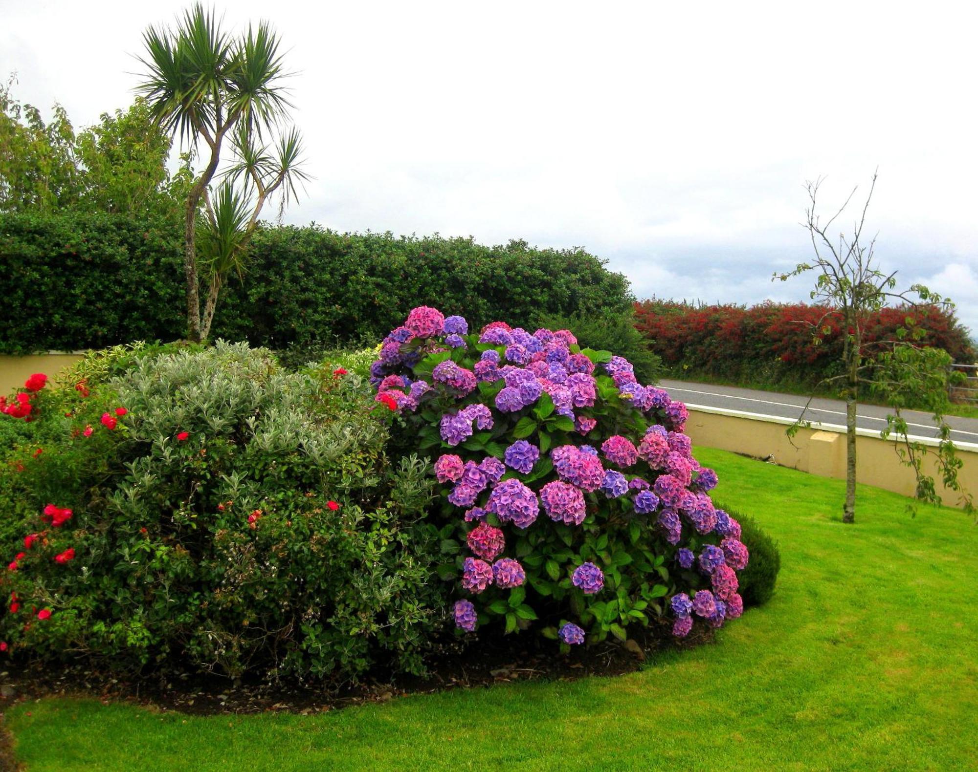 Cill Bhreac House B&B Dingle Dış mekan fotoğraf